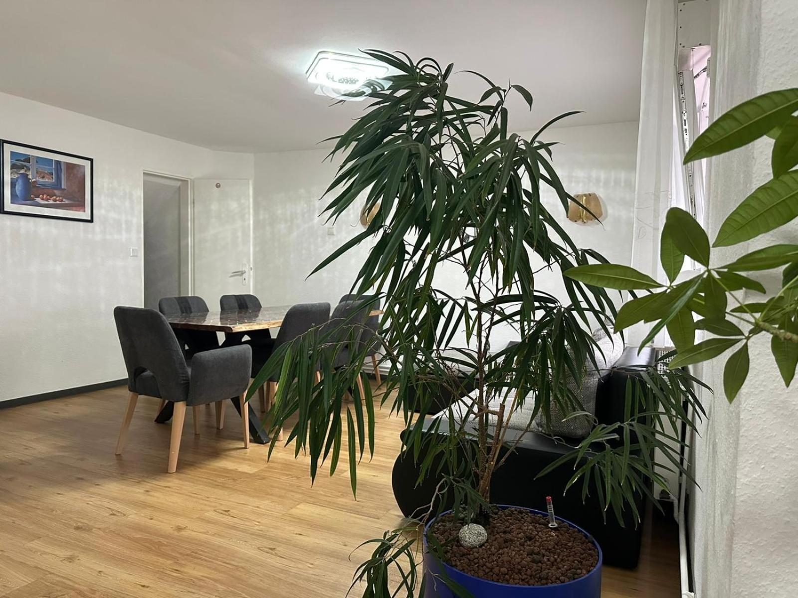 Ferienhaus Formidable Nidderau Exterior foto